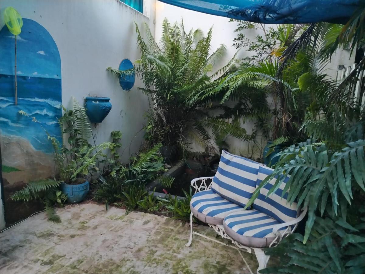Beach Wood Cottages Shelly Beach Extérieur photo