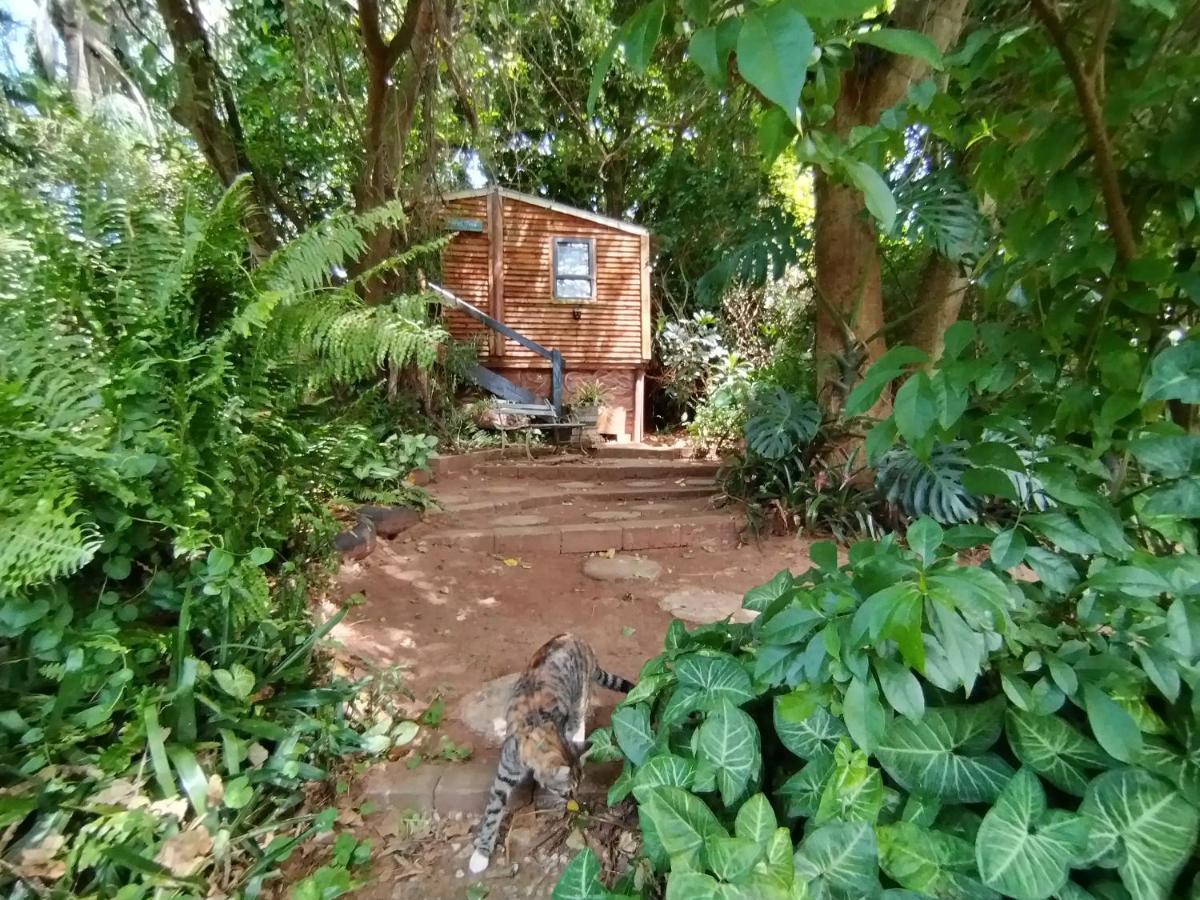 Beach Wood Cottages Shelly Beach Extérieur photo