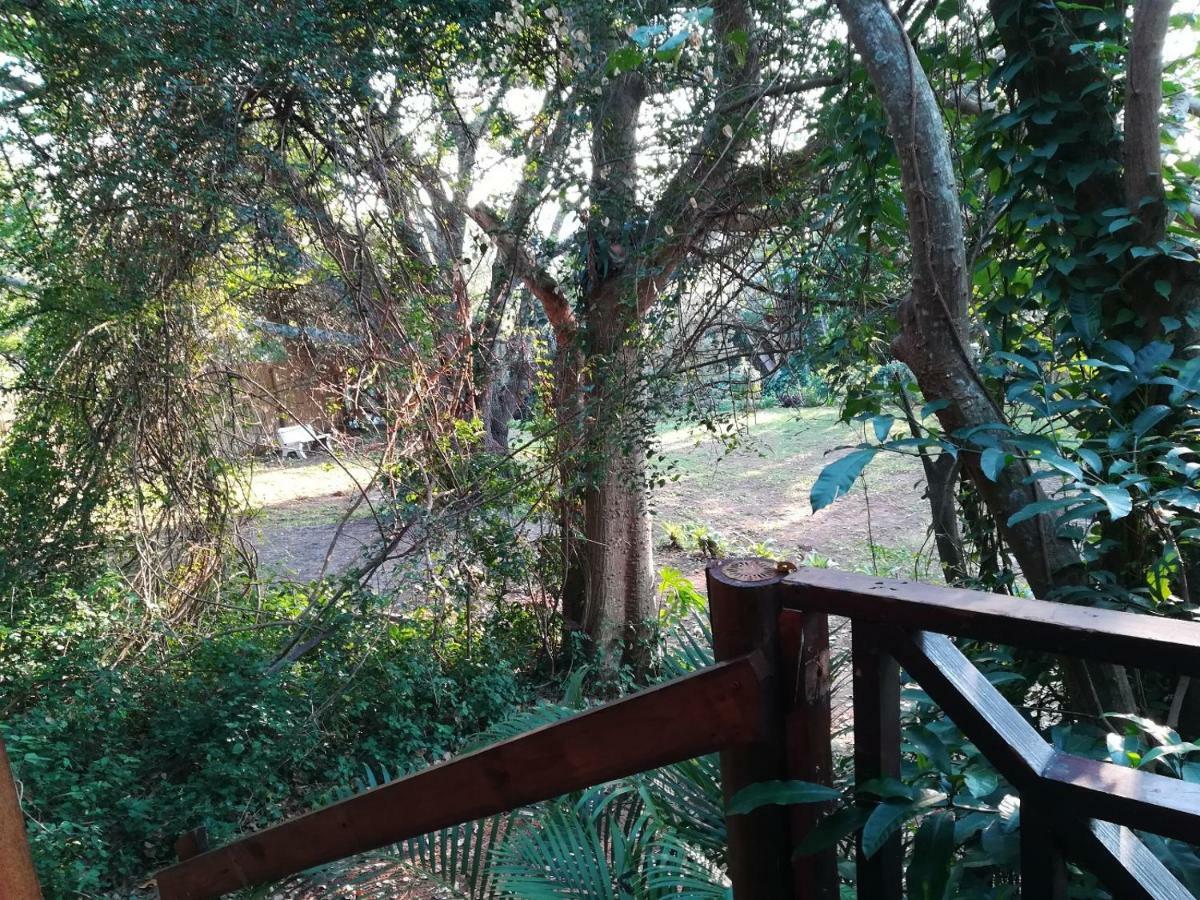 Beach Wood Cottages Shelly Beach Extérieur photo
